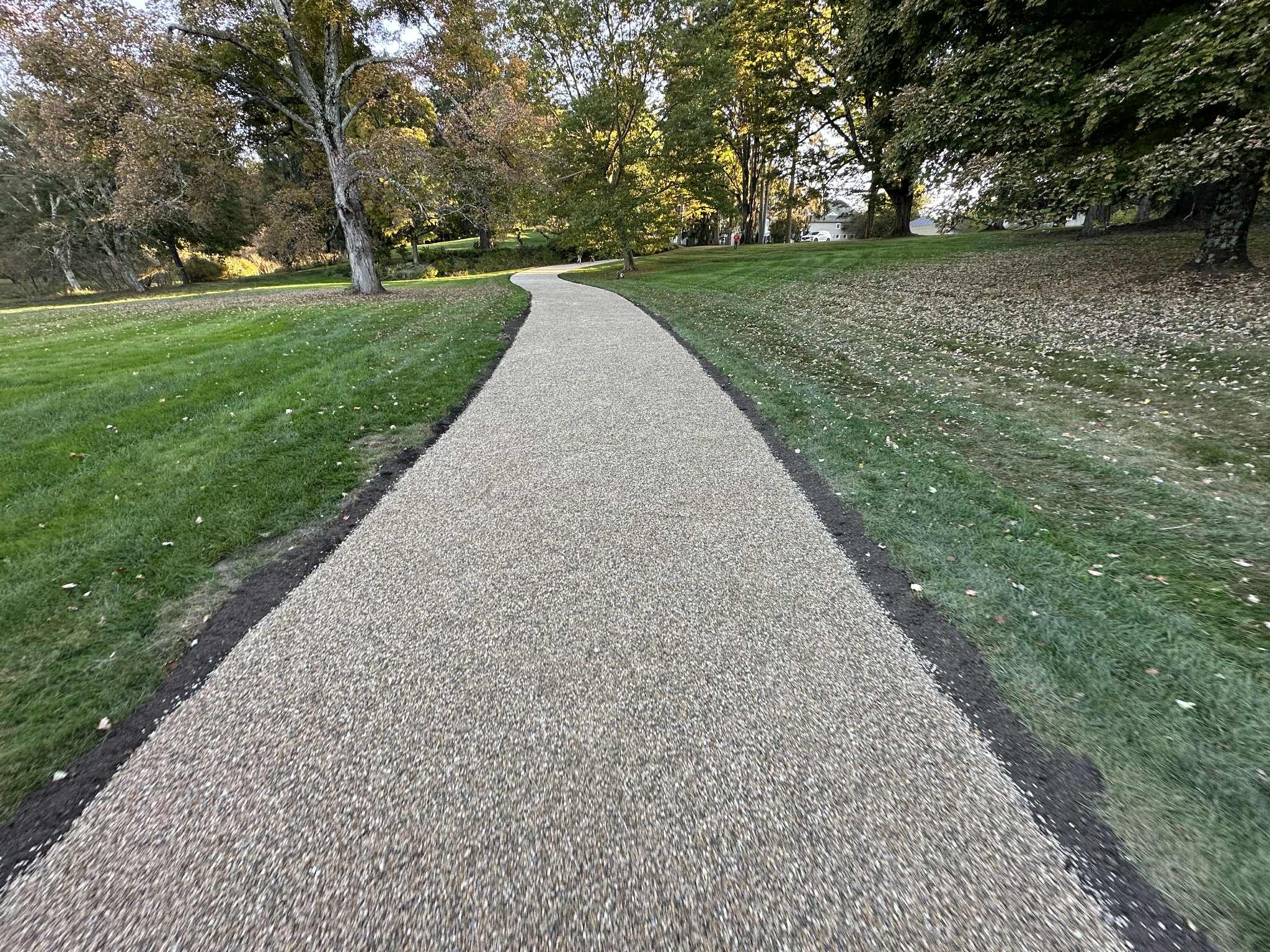 A gravel path curves through a grassy park area lined with trees and scattered fallen leaves.