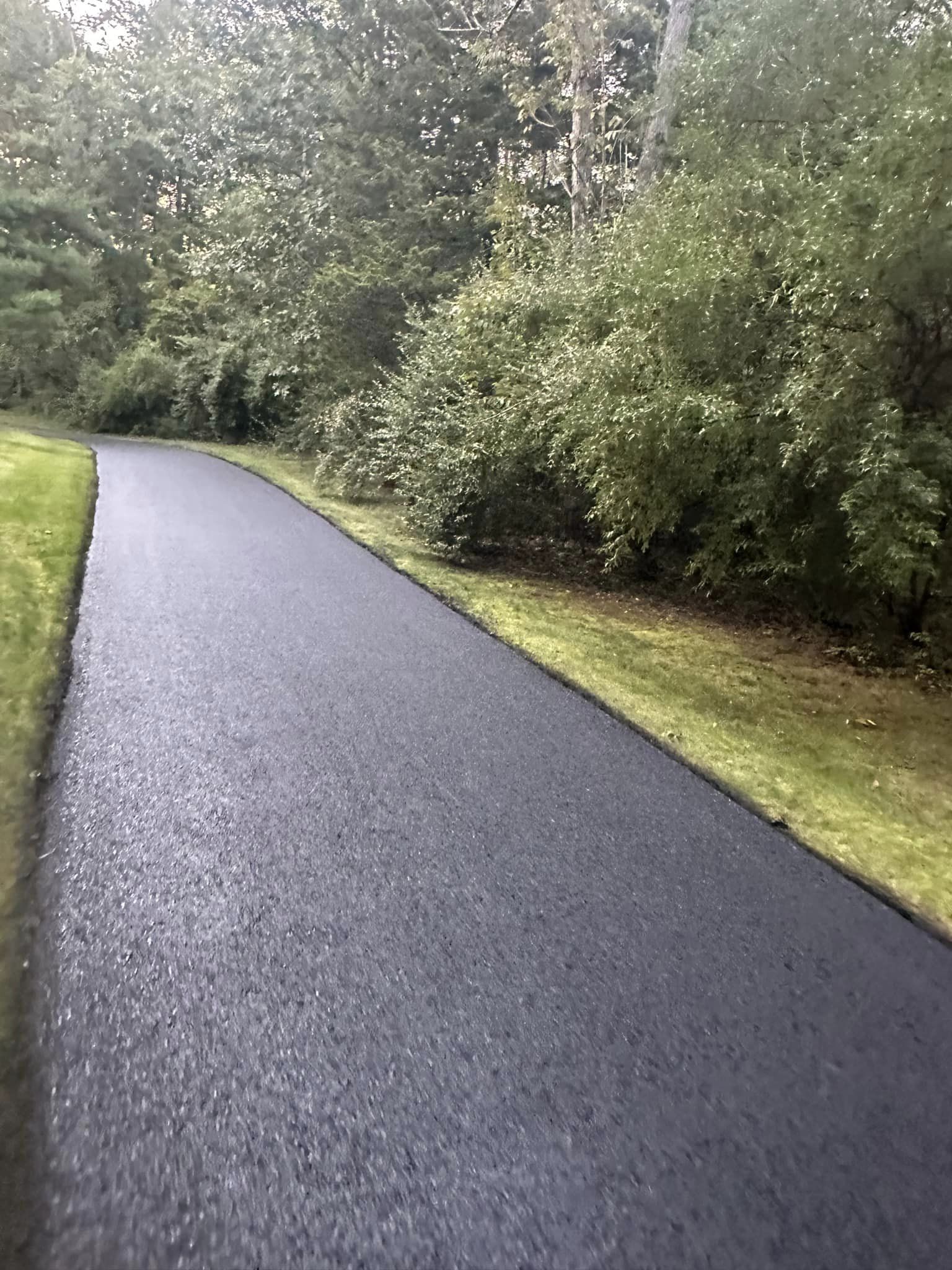 A newly paved asphalt path curves through a wooded area bordered by green grass and dense trees.